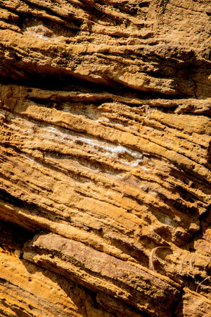 Sandstone rock formation in Illinois, USA close up filling the frame.