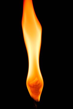 The Fire flames on black background .の写真素材
