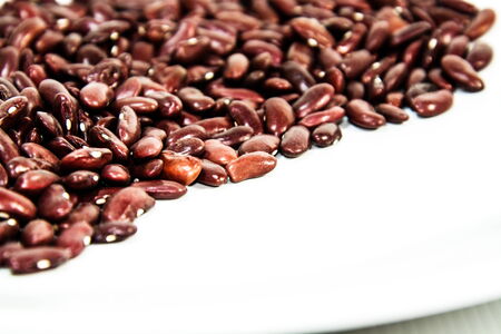 Photos of lentils on a white background.の写真素材