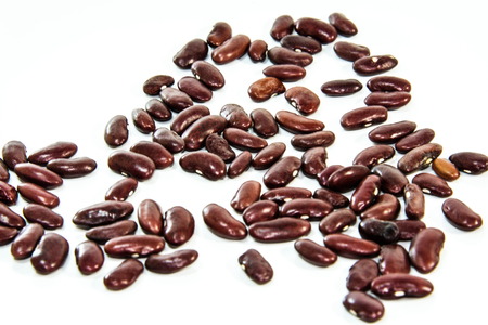 Photos of lentils on a white background.の写真素材