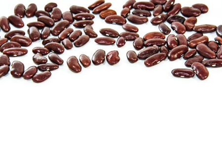 Photos of lentils on a white background.の写真素材