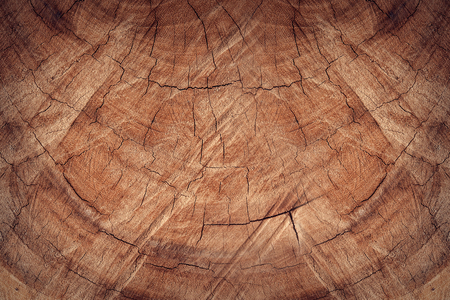 Wood texture or wood background. Wood for interior exterior decoration and industrial construction concept design.の写真素材