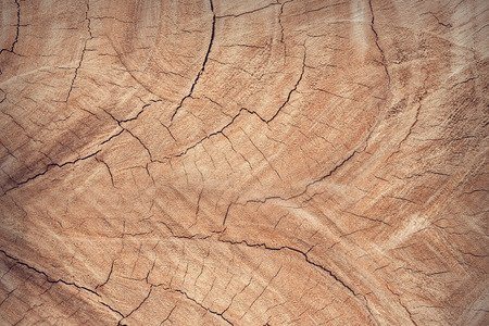 Wood texture or wood background. Wood for interior exterior decoration and industrial construction concept design.の写真素材