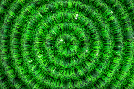 Green leaves. Green leaves background texture. Creative layout made of green leaves.の写真素材