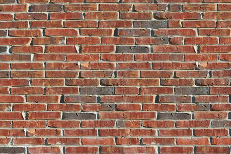 Picture of brick wall used as background, text inputの写真素材