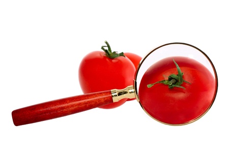 Red fresh tomatos and magnifier, isolated on whiteの写真素材