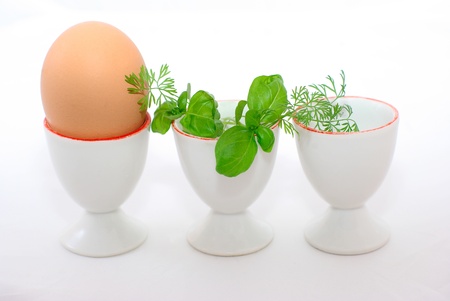Egg and three eggcups isolated, decorated with greeneryの写真素材