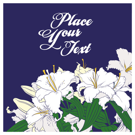 White lilies cardのイラスト素材