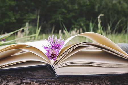 Opened book on a natural backgroundの写真素材