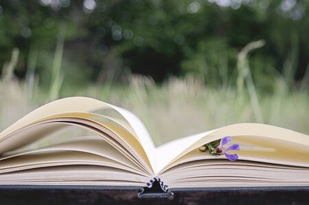 Opened book on a natural backgroundの写真素材