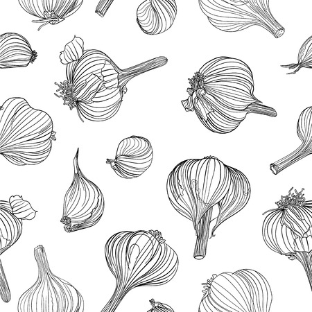 Seamless pattern with garlic. Outline drawing on white backgroundのイラスト素材