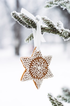 Snow-covered fir-tree branch with gingerbread star-shaped cookie with beautiful frostingの写真素材