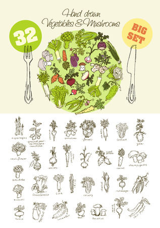 Big set of hand drawn vegetablesのイラスト素材