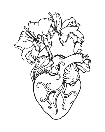 Stylized anatomical Human Heart drawing. Heart with white lilies in romantic style.のイラスト素材