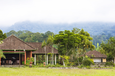 Neighborhood of the Ulun Danu Temple complex at Lake Bratan, Bedugul, Baliの写真素材
