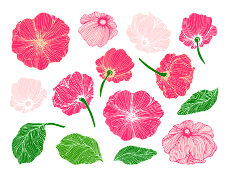 Collection of hand drawn flowers and leaves for floral composition buildingのイラスト素材