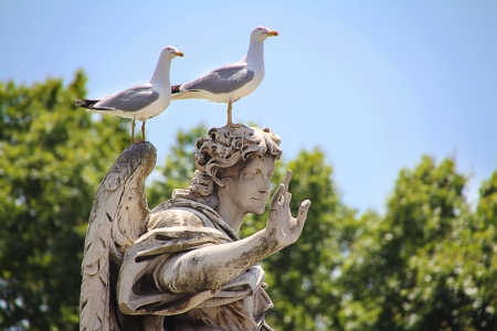 Birds sitting on angel statueの写真素材