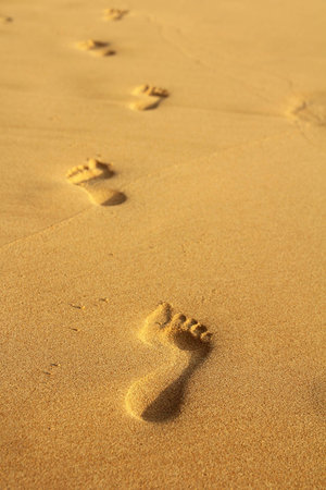 footprints in the sand on beach