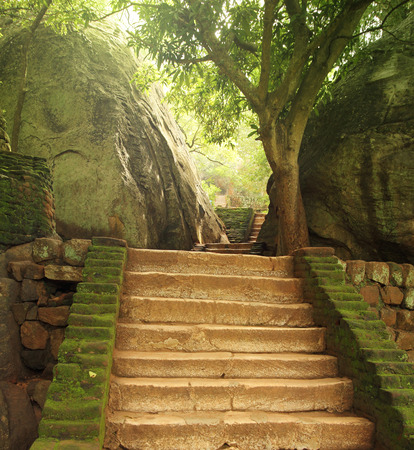 stairway in sigiriyaの写真素材
