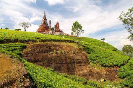 beautiful indian landscapeの写真素材