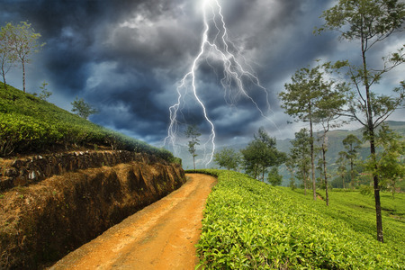 thunderbolt in countryの写真素材