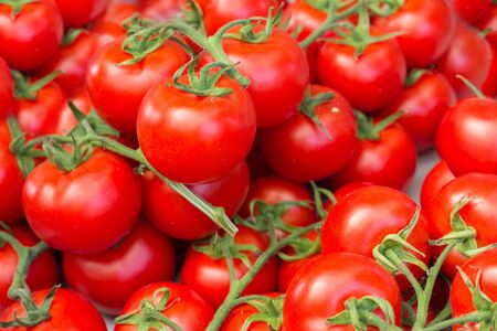 many tomatoes on market closeupの写真素材