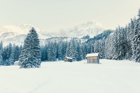 wooden houses in winter natureの写真素材
