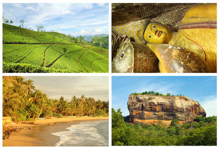 sri lanka tourismの写真素材