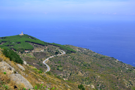 Giglio islandの写真素材