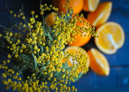 Close-up of mimosa flowers with fresh oranges in the background, top viewの写真素材