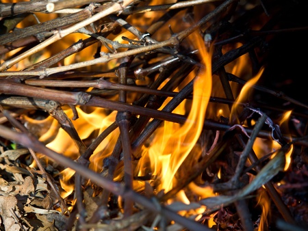 burning leafs and branches in the forestの写真素材