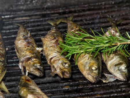 fish on grill with rosemary and olive oilの写真素材