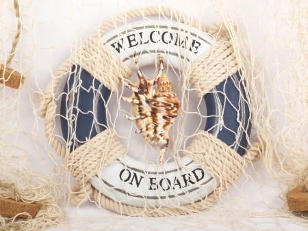 safe belt and shell in the fishing netの写真素材