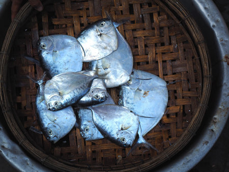 A basket of Fish in the market. Viet Nam's seafood exports has been growed year by year.
