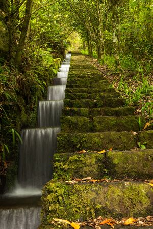 Scenic lavada system in Madeira islandの写真素材