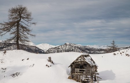 Scenic traditional wooden shepherd house on alpine meadow during winter time in Slovenian Julian Alpsの写真素材