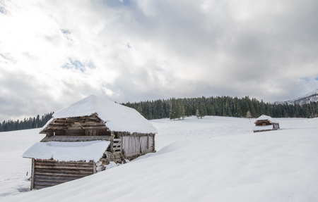 Scenic wooden shepherd cottage on alpine meadow in Julian alps, Sloveniaの写真素材