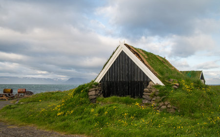 Traditional wooden turf house in Icelandic green landscapeの写真素材