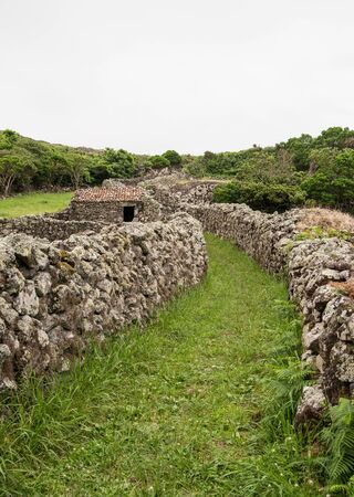 Scenic trail thorugh green landscape of Azorean islandの写真素材