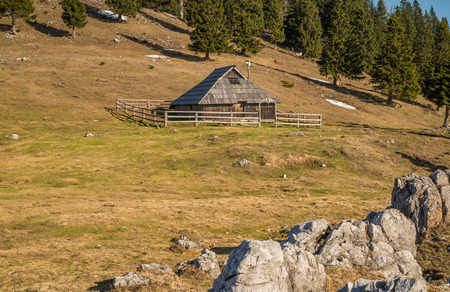 Traditional wooden shepherd cottages on high alpine pasture Velika Planina near Kamnik during spring in Sloveniaの写真素材