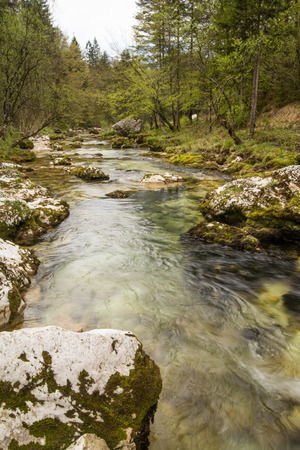 Scenic glacier canyon of Mostnice near Bohinj in Sloveniaの写真素材