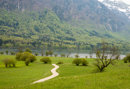 Scenic Bohinj glacier lake and its green surroundingsの写真素材