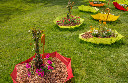 Unique umbrella with fresh and colorful flowers planted inside in nature park in Slovenia during springtimeの写真素材