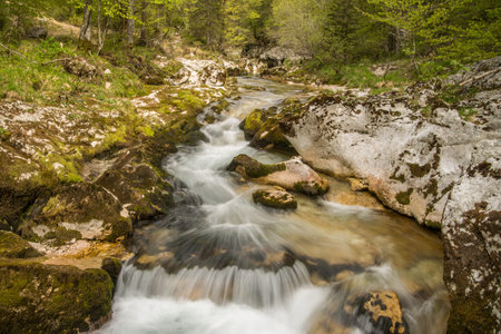 Scenic glacier canyon of Mostnice near Bohinj in Sloveniaの写真素材