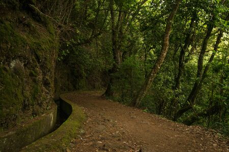Hiking trail near levada system on Madeira island, Portugalの写真素材