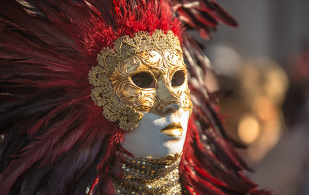 Traditional venetian carnival costume from annual masqueradeのeditorial素材