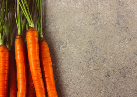 Raw whole fresh carrots on gray background.
