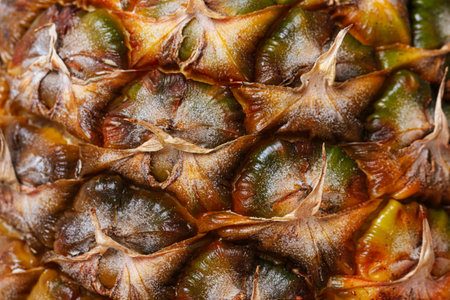 Closeup of texture ripe pineapple peel. Healthy food background.の写真素材