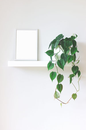 White photo frame and indoor plant on white bookshelf. Home decoration. Place for design.