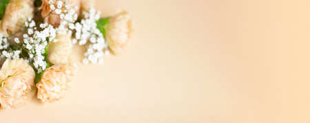 Beige carnation flowers bouquet on light beige background. Selective focus. Holiday decoration concept. Place for text. Banner for website.の写真素材
